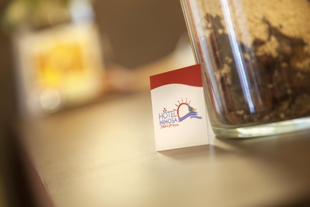 Hotel Mimosa Bellaria-Igea Marina Extérieur photo